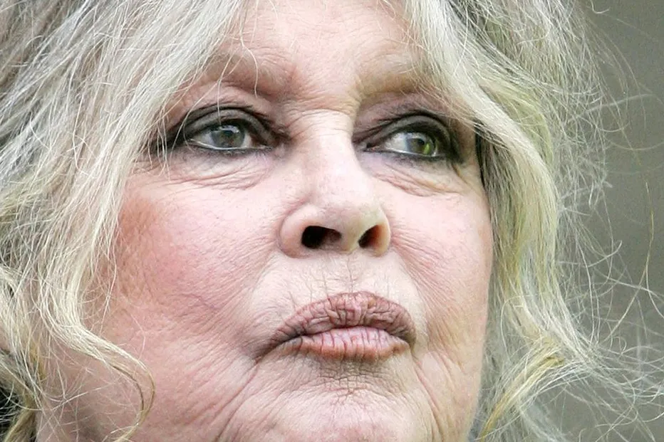 “Ela não merecia sofrer”: Revelada a causa da morte de Brigitte Bardot